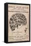 Phrenological Chart of the Brain of Charles J. Guiteau, Assassin of President James Garfield, 1880s-null-Framed Stretched Canvas