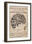 Phrenological Chart of the Brain of Charles J. Guiteau, Assassin of President James Garfield, 1880s-null-Framed Art Print