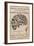 Phrenological Chart of the Brain of Charles J. Guiteau, Assassin of President James Garfield, 1880s-null-Framed Art Print