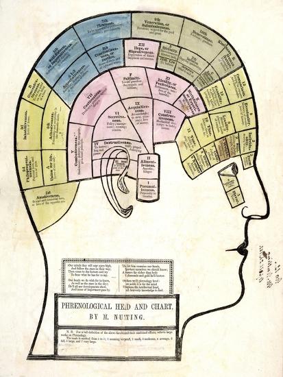 'Phrenological Head and Chart, Pub. 1857 (Colour Litho)' Giclee Print ...