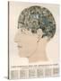 Phrenological Head-R.b.d. Wells-Stretched Canvas