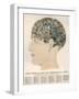 Phrenological Head-R.b.d. Wells-Framed Photographic Print