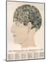 Phrenological Head-R.b.d. Wells-Mounted Photographic Print