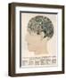 Phrenological Head-R.b.d. Wells-Framed Photographic Print