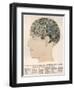 Phrenological Head-R.b.d. Wells-Framed Photographic Print
