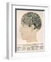 Phrenological Head-R.b.d. Wells-Framed Photographic Print