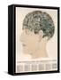 Phrenological Head-R.b.d. Wells-Framed Stretched Canvas