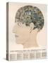 Phrenological Head-R.b.d. Wells-Stretched Canvas