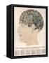 Phrenological Head-R.b.d. Wells-Framed Stretched Canvas