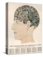 Phrenological Head-R.b.d. Wells-Stretched Canvas