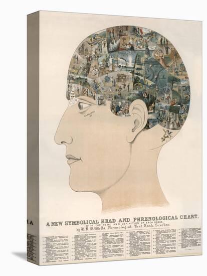 Phrenological Head-R.b.d. Wells-Stretched Canvas