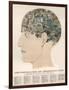 Phrenological Head-R.b.d. Wells-Framed Photographic Print