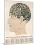 Phrenological Head-R.b.d. Wells-Mounted Photographic Print