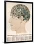 Phrenological Head-R.b.d. Wells-Framed Photographic Print