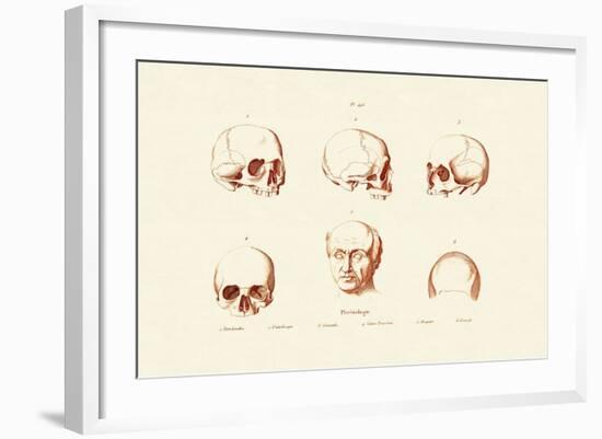 Phrenology, 1833-39-null-Framed Giclee Print