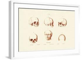 Phrenology, 1833-39-null-Framed Giclee Print