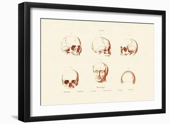 Phrenology, 1833-39-null-Framed Giclee Print