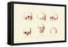 Phrenology, 1833-39-null-Framed Stretched Canvas