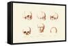 Phrenology, 1833-39-null-Framed Stretched Canvas