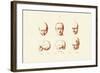 Phrenology, 1833-39-null-Framed Giclee Print