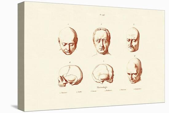 Phrenology, 1833-39-null-Stretched Canvas