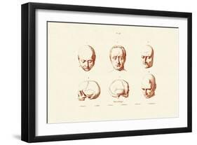 Phrenology, 1833-39-null-Framed Giclee Print