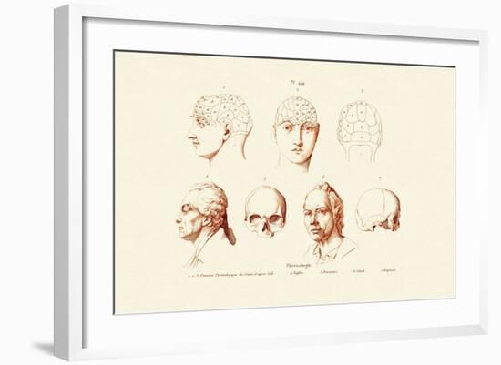 Phrenology, 1833-39-null-Framed Giclee Print