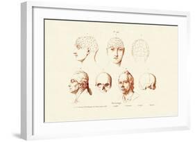 Phrenology, 1833-39-null-Framed Giclee Print