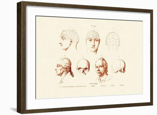 Phrenology, 1833-39-null-Framed Giclee Print