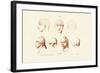 Phrenology, 1833-39-null-Framed Giclee Print