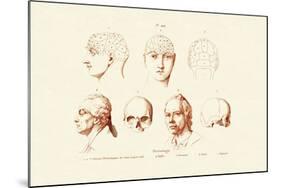 Phrenology, 1833-39-null-Mounted Giclee Print