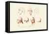 Phrenology, 1833-39-null-Framed Stretched Canvas