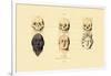 Phrenology, 1833-39-null-Framed Giclee Print