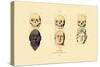 Phrenology, 1833-39-null-Stretched Canvas