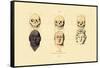 Phrenology, 1833-39-null-Framed Stretched Canvas