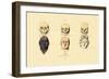 Phrenology, 1833-39-null-Framed Giclee Print