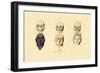 Phrenology, 1833-39-null-Framed Giclee Print