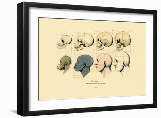 Phrenology, 1833-39-null-Framed Giclee Print