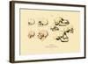 Phrenology, 1833-39-null-Framed Giclee Print