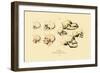 Phrenology, 1833-39-null-Framed Giclee Print