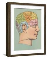 Phrenology Chart of Head-null-Framed Art Print