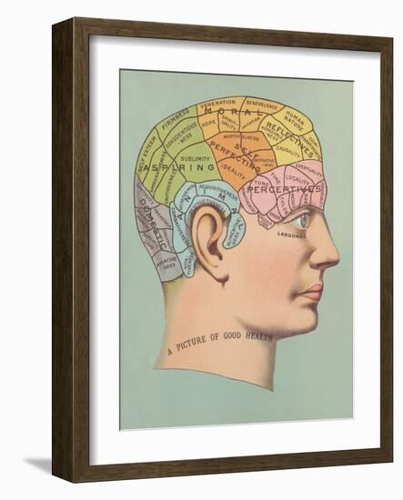 Phrenology Chart of Head-null-Framed Art Print