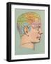 Phrenology Chart of Head-null-Framed Art Print