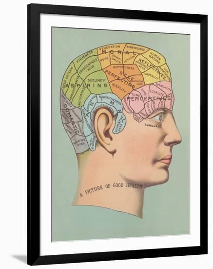 Phrenology Chart of Head-null-Framed Art Print