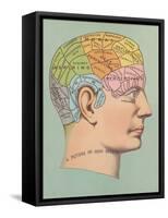 Phrenology Chart of Head-null-Framed Stretched Canvas