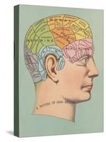 Phrenology Chart of Head-null-Stretched Canvas