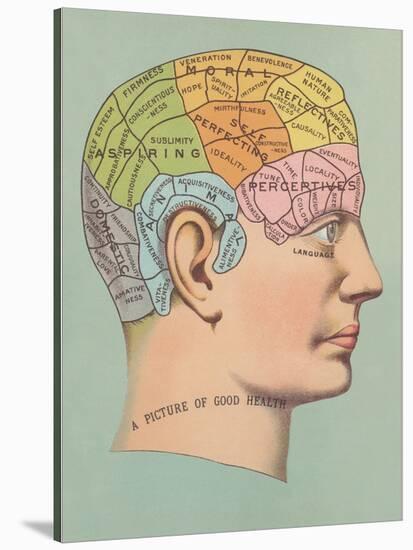Phrenology Chart of Head-null-Stretched Canvas