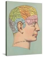 Phrenology Chart of Head-null-Stretched Canvas