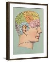 Phrenology Chart of Head-null-Framed Art Print