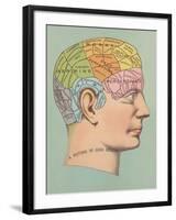 Phrenology Chart of Head-null-Framed Art Print